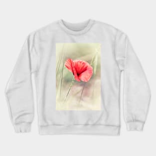 Wild Poppy Crewneck Sweatshirt